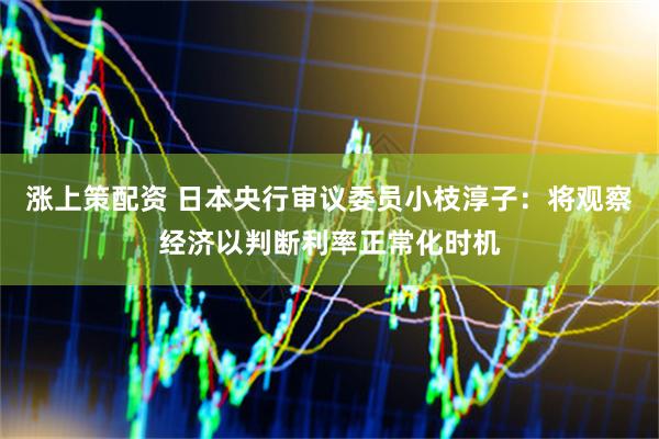 涨上策配资 日本央行审议委员小枝淳子：将观察经济以判断利率正常化时机